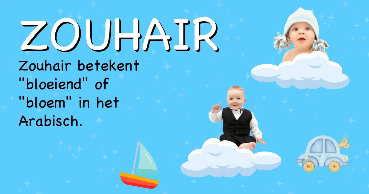 Betekenis van de naam Zouhair - Ontdek de herkomst en betekenis van deze voornaam