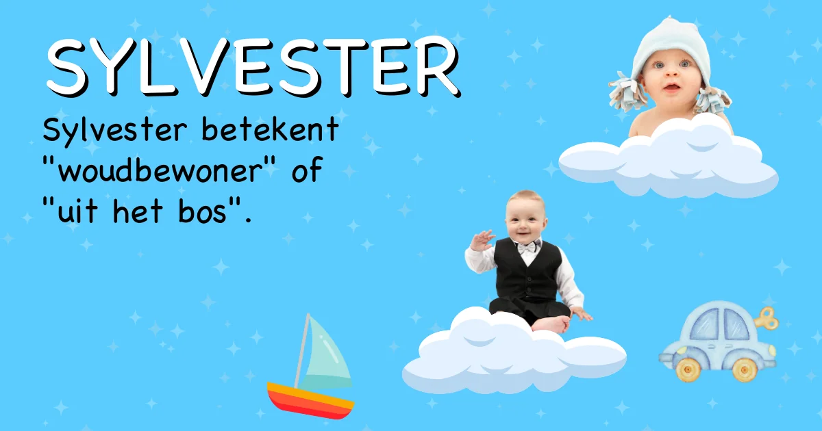 Betekenis van de naam Sylvester - Ontdek de herkomst en betekenis van deze voornaam